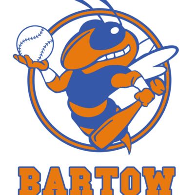 Bartow Hornet white outline Thumbnail